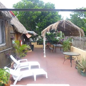 Mayan Hostel